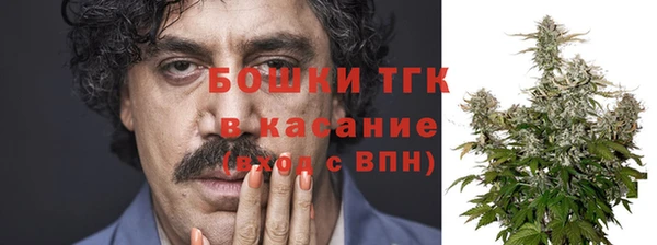 гидропоника Рославль