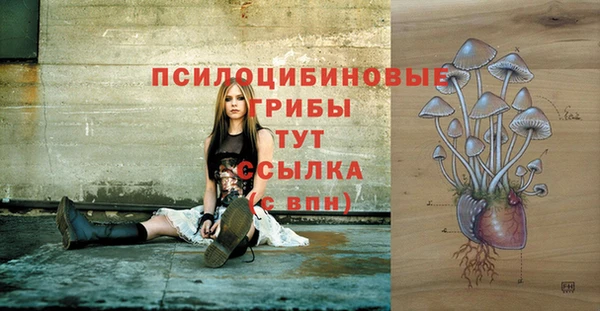 метадон Видное