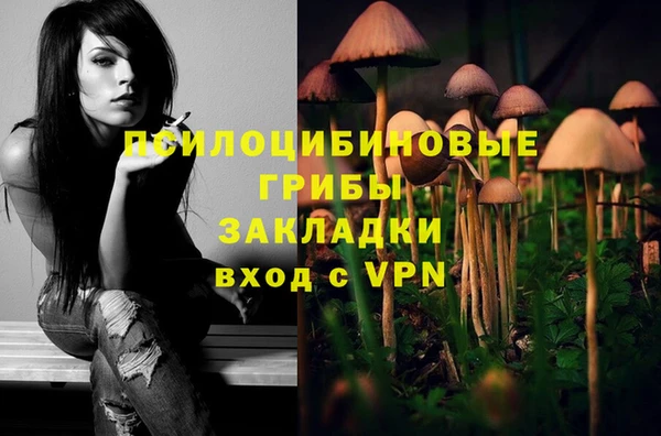 MDMA Приозерск