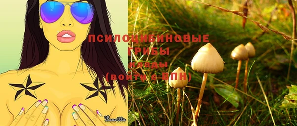 spice Сафоново
